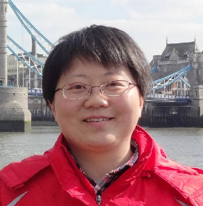 Prof Xiaojun Chen
